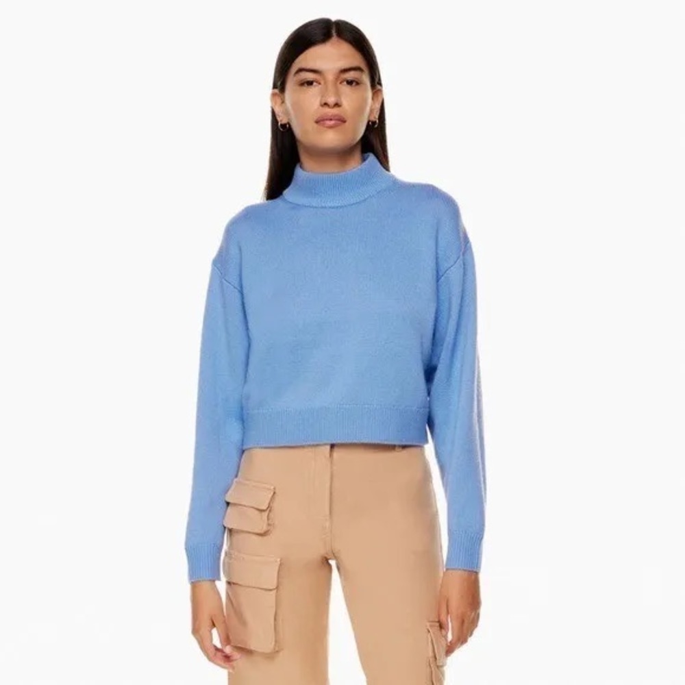 Aritzia Scottie Turtleneck